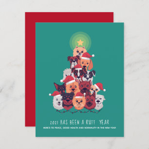 2021 Het was een kerstboom van het RUFF-jaar