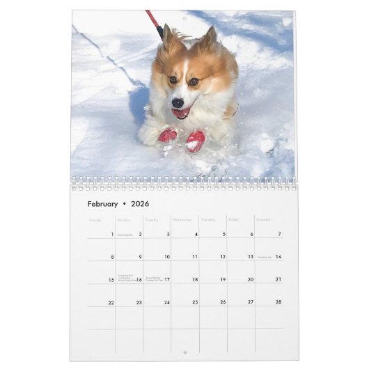 2021 Hudson the Fluffy Corgi Calendar Kalender (Feb 2026)