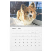 2021 Hudson the Fluffy Corgi Calendar Kalender (Jan 2026)
