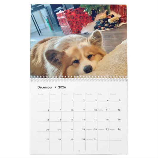 2021 Hudson the Fluffy Corgi Calendar Kalender (Dec 2026)