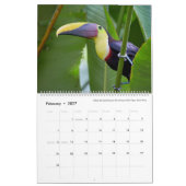 2021 ~ Jaar van de vogelkalender Kalender (Feb 2027)