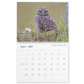 2021 ~ Jaar van de vogelkalender Kalender (Mar 2027)