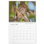 2021 ~ Jaar van de vogelkalender Kalender (Jan 2027)