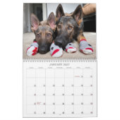 2021 Jade & Jasper the Sable GSD's Calendar Kalender (Jan 2027)
