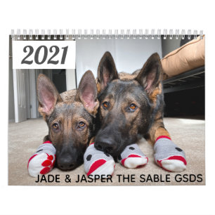 2021 Jade & Jasper the Sable GSD's Calendar Kalender