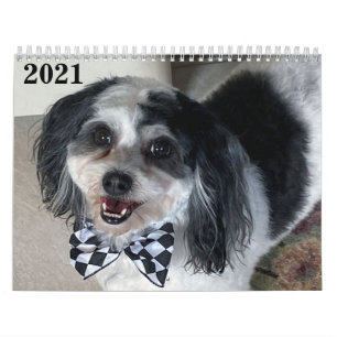 2021 K-Cee II Zuchon Dog Agenda Kalender