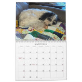2021 K-Cee II Zuchon Dog Agenda Kalender (Mar 2026)