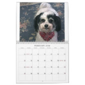 2021 K-Cee II Zuchon Dog Agenda Kalender (Feb 2026)