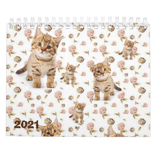 2021 Kalender Kittens Katten (Achterkant)