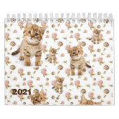 2021 Kalender Kittens Katten (Hoes)