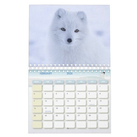 2021 Kinder agenda Giraffe Varkens, Koeien, paarde Kalender (Feb 2026)