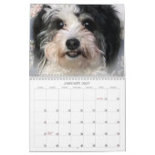 2021 Kute K-Cee Zuchon Dog Agenda Kalender (Jan 2027)