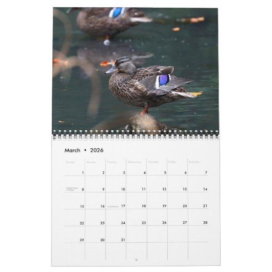 2021 Mallards Kalender (Mar 2026)