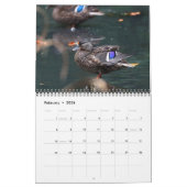 2021 Mallards Kalender (Feb 2026)