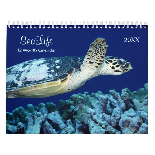 2021 Mariene vis en Zee Levenskalender Kalender (Hoes)