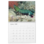 2021 Mariene vis en Zee Levenskalender Kalender (Jan 2027)