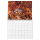 2021 Mariene vis en Zee Levenskalender Kalender (Feb 2027)