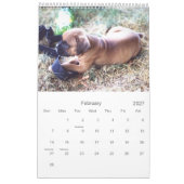 2021 Mooie Boxer Hond Kalender (Feb 2027)
