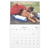 2021 Mooie Boxer Hond Kalender (Jan 2027)