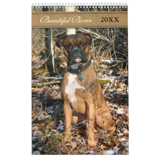 2021 Mooie Boxer Hond Kalender