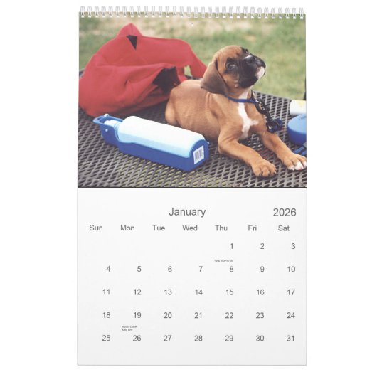 2021 Mooie Boxer Hond Kalender (Jan 2026)