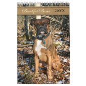 2021 Mooie Boxer Hond Kalender (Hoes)