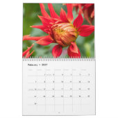 2021 Mooie Dahlia-fotografie Kalender (Feb 2027)