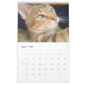 2021 Petals Feather & Friends Calendar Kalender (Mar 2027)