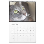 2021 Petals Feather & Friends Calendar Kalender (Feb 2027)