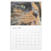 2021 Petals Feather & Friends Calendar Kalender (Jan 2027)