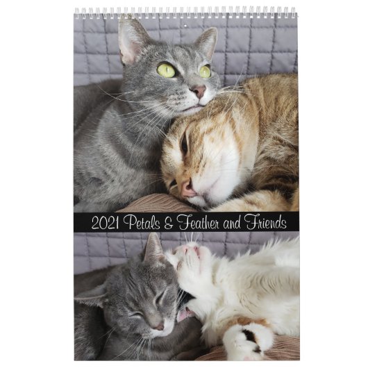 2021 Petals Feather & Friends Calendar Kalender (Hoes)