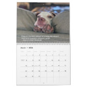 2021 Pointers for Life Calendar from PointerRescue Kalender (Mar 2026)