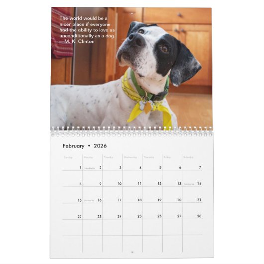 2021 Pointers for Life Calendar from PointerRescue Kalender (Feb 2026)