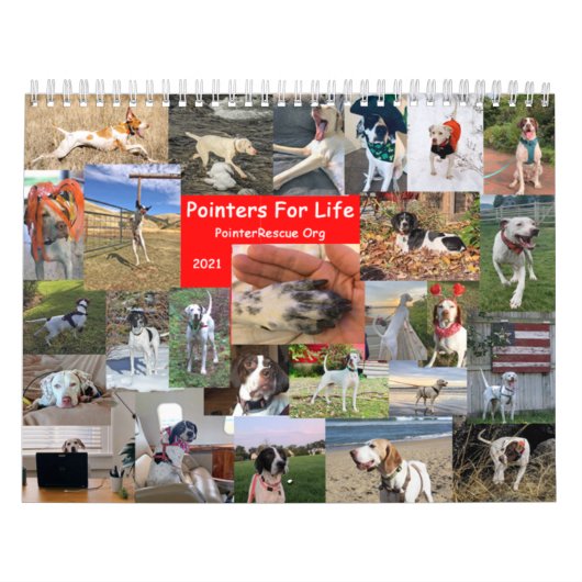 2021 Pointers for Life Calendar from PointerRescue Kalender (Hoes)