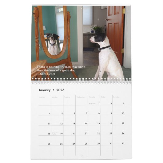 2021 Pointers for Life Calendar from PointerRescue Kalender (Jan 2026)