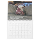 2021 Pointers for Life Calendar from PointerRescue Kalender (Mar 2027)