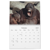 2021 Primaten Wildlife Fotografie Kalender (Feb 2027)