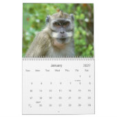 2021 Primaten Wildlife Fotografie Kalender (Jan 2027)
