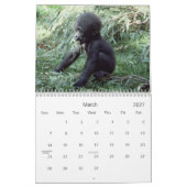 2021 Primaten Wildlife Fotografie Kalender (Mar 2027)