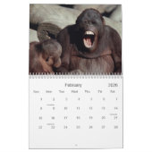 2021 Primaten Wildlife Fotografie Kalender (Feb 2026)
