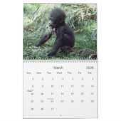 2021 Primaten Wildlife Fotografie Kalender (Mar 2026)