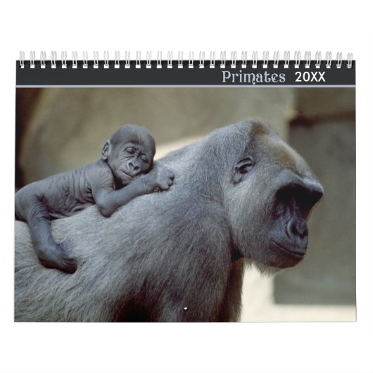 2021 Primaten Wildlife Fotografie Kalender (Hoes)
