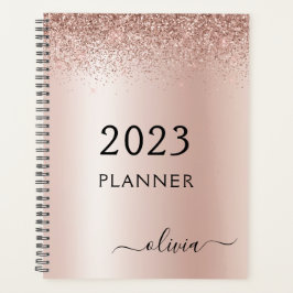 2021 Roos Gold Blush Pink Glitter Monogram Planner