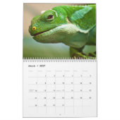 2021 Safari Zoo Dieren Fotografie Kalender (Mar 2027)