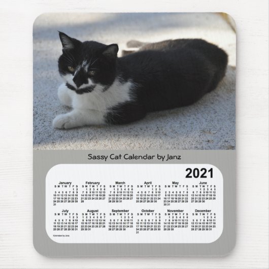 2021 Sassy Cat Calendar van Janz Muismat (Voorkant)