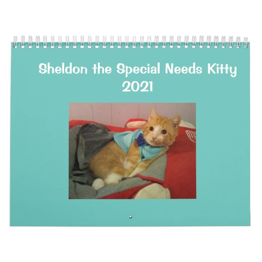 2021 Sheldon Calendar Kalender (Hoes)