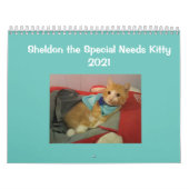 2021 Sheldon Calendar Kalender (Hoes)