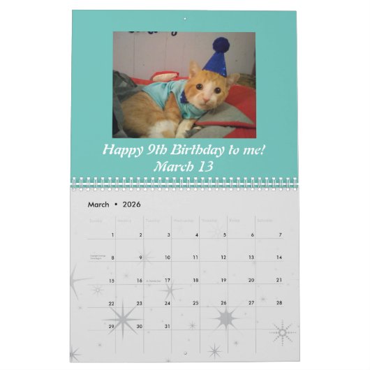 2021 Sheldon Calendar Kalender (Mar 2026)