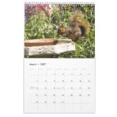 2021 Squirrel Friends Kalender (Mar 2027)