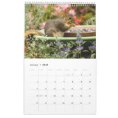 2021 Squirrel Friends Kalender (Jan 2026)
